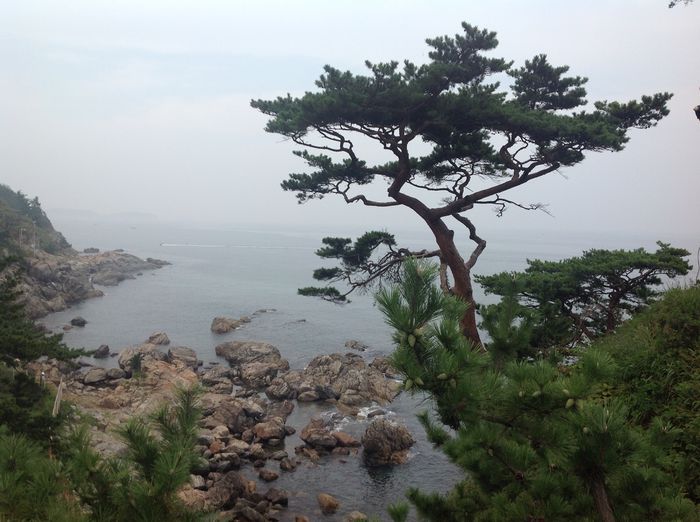 Korea agosto 2014 412